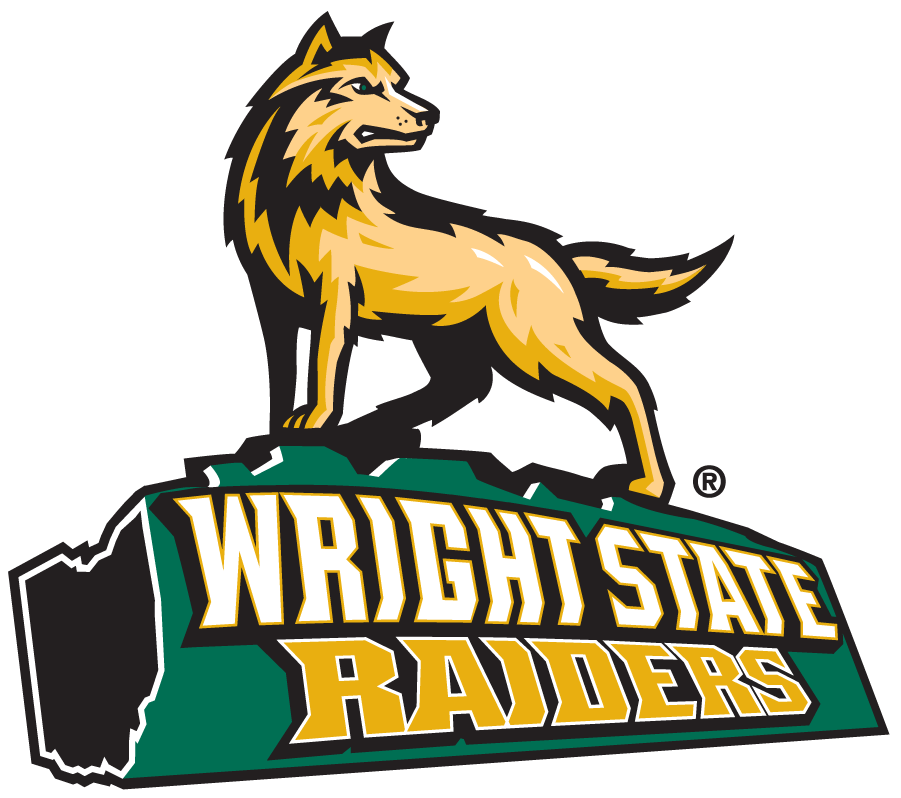 Wright State Raiders 1997-2013 Alternate Logo diy iron on heat transfer